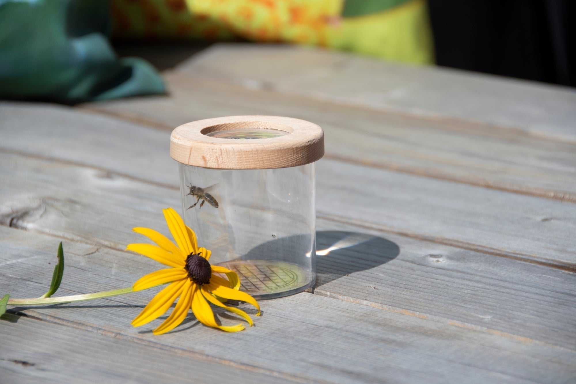 Wooden Studying Box 