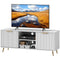 HOMCOM TV Stand with Storage for 55 Inch TV, Modern TV Cabinet with 2 Open Shelves and 2 Cabinets for Living Room, White