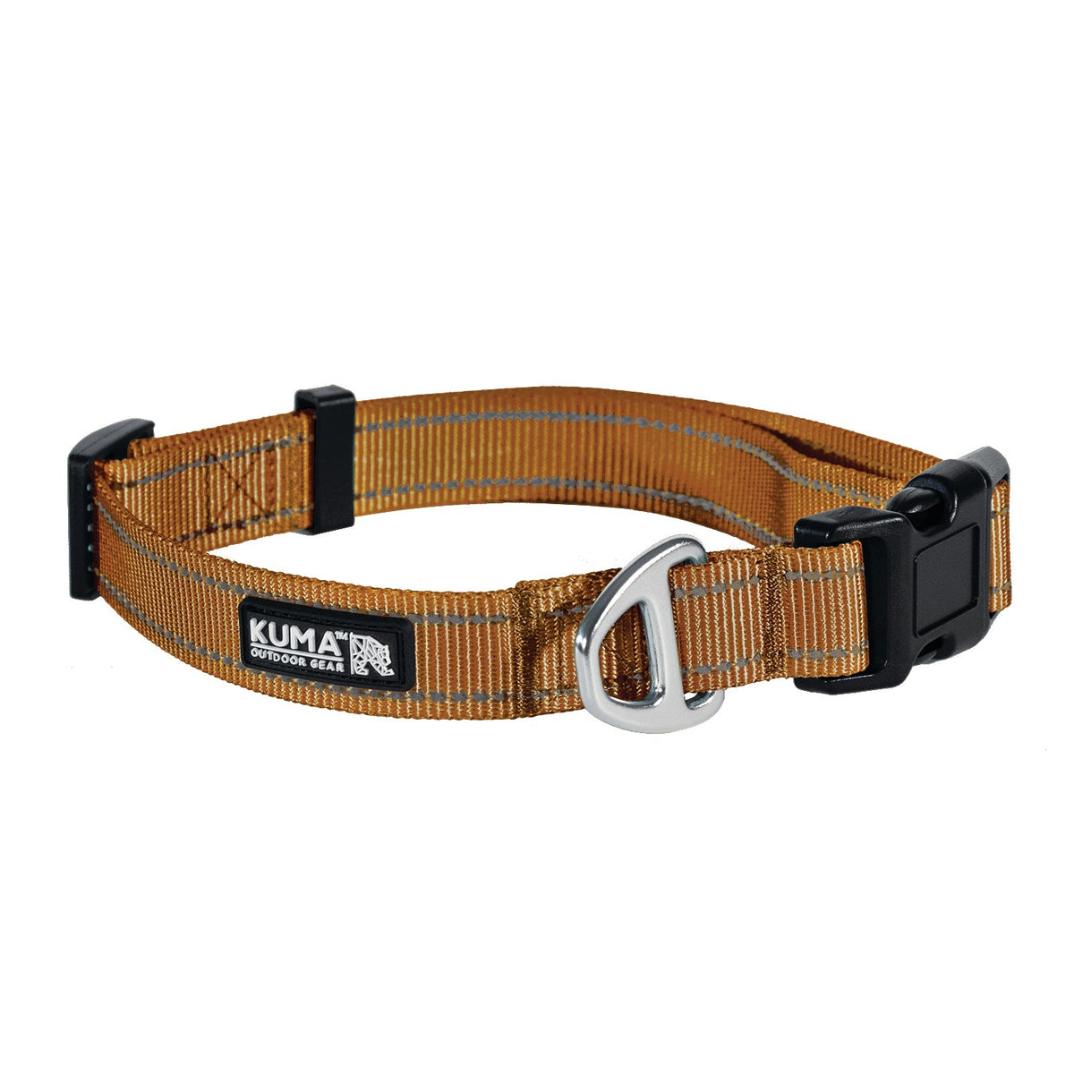 Lazy Bear Dog Collar