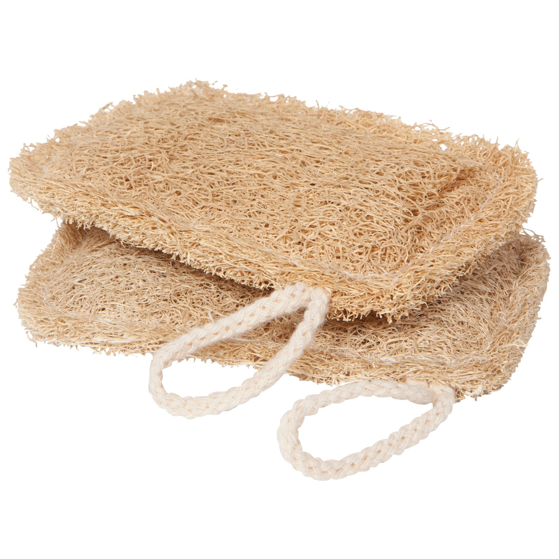 Loofah Dish Sponges, Set of 2 