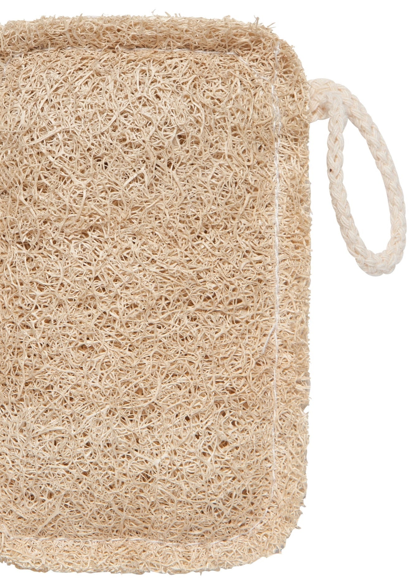 Loofah Dish Sponges, Set of 2 