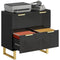 Lateral File Cabinet with 2 Drawers, Modern Filing Cabinet for Letter/A4/Legal Size Files, High Gloss Black
