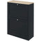 HOMCOM Slim Shoe Storage Cabinet, Modern Shoe Cabinet with 2 Flip Drawers and Adjustable Shelves for 12 Pairs, Black