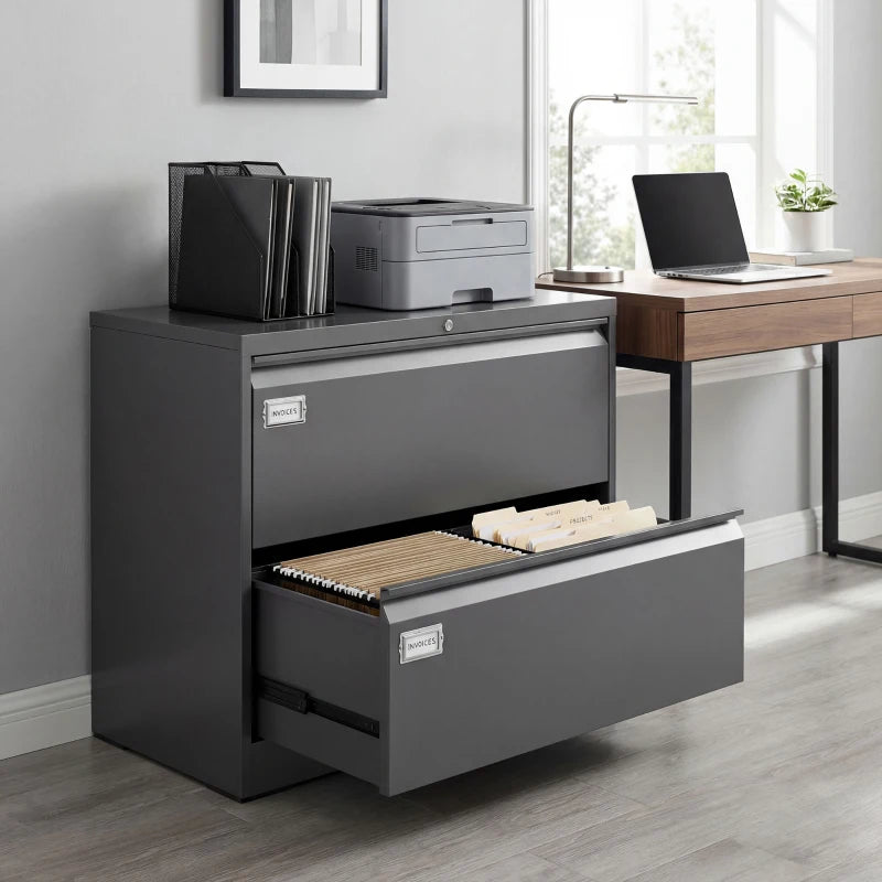 Lateral Filing Cabinet with 2 Drawers, Lockable Steel File Cabinet for A4/Letter/Legal Size Files, Black