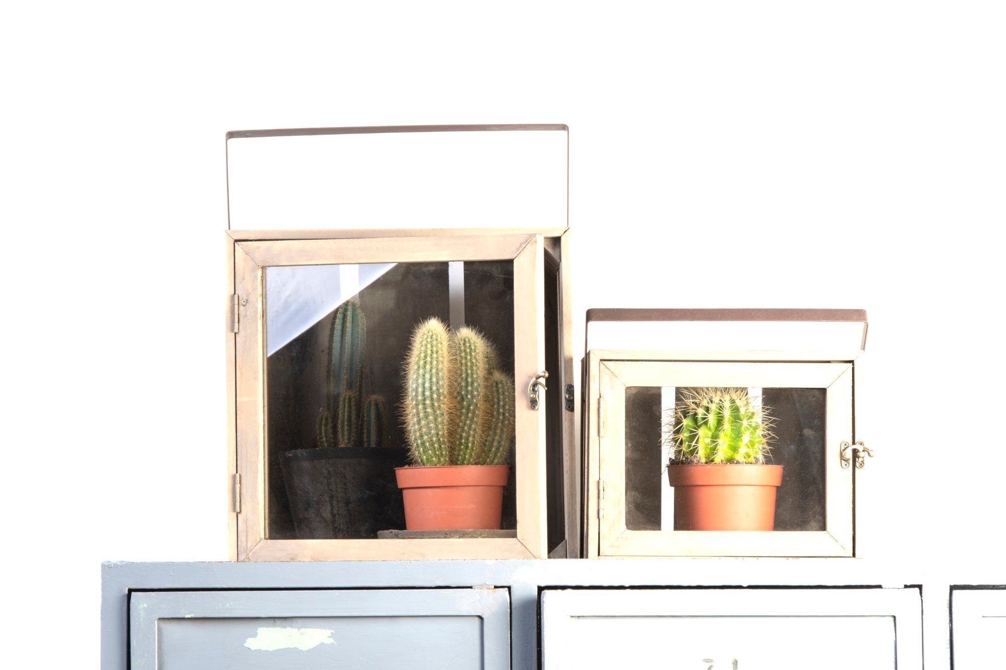 Displaybox Wood L Set Of 2 