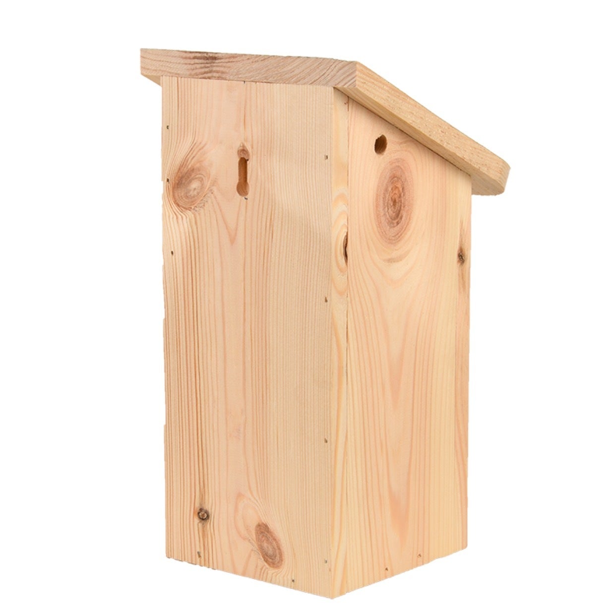 Diapositive Bleu Tit House 