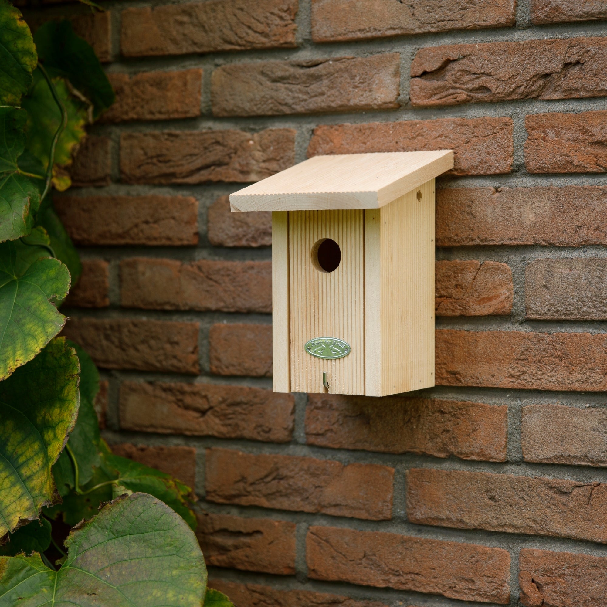 Wren Bird House in Gift Box 
