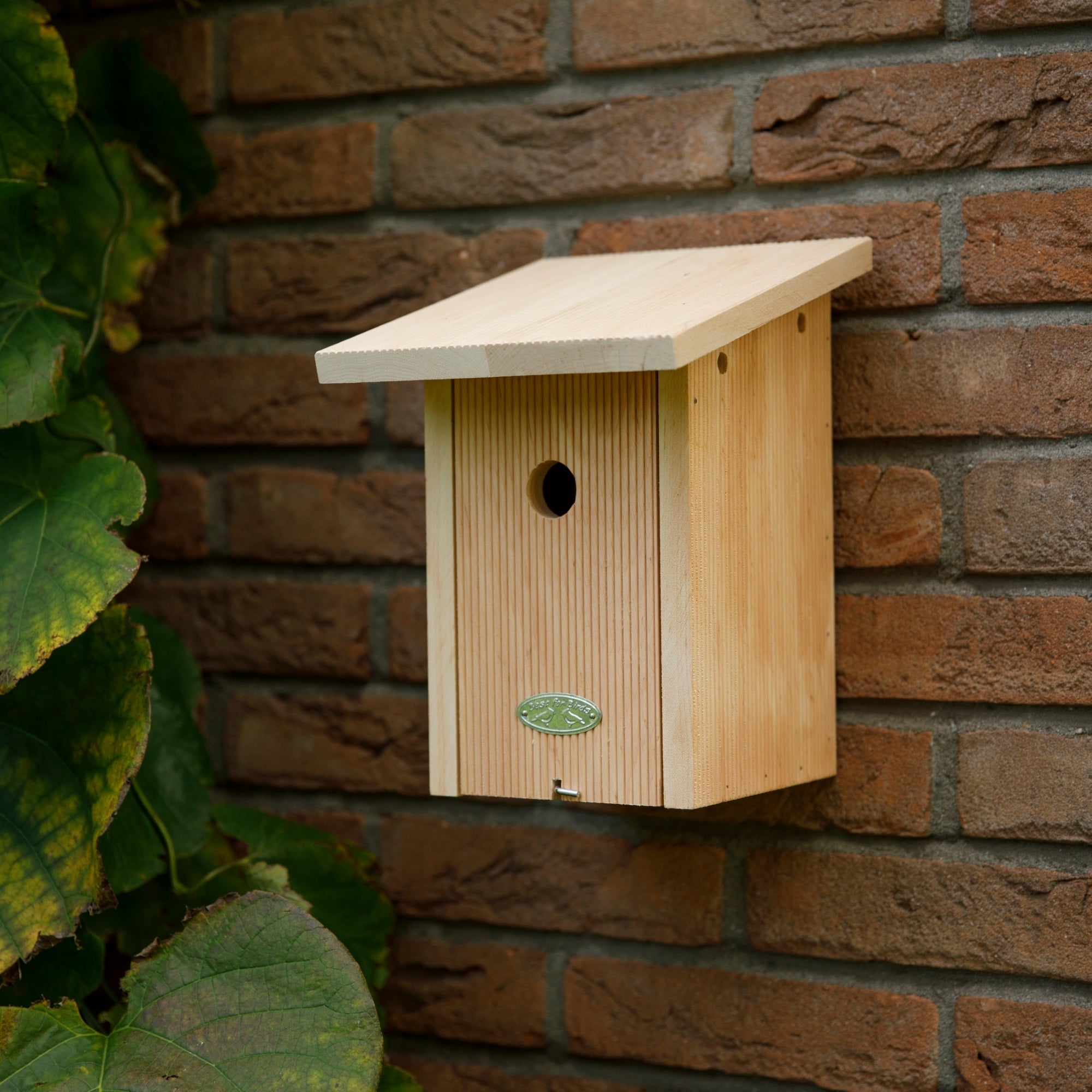 Blue Tit Bird House in Gift Box 