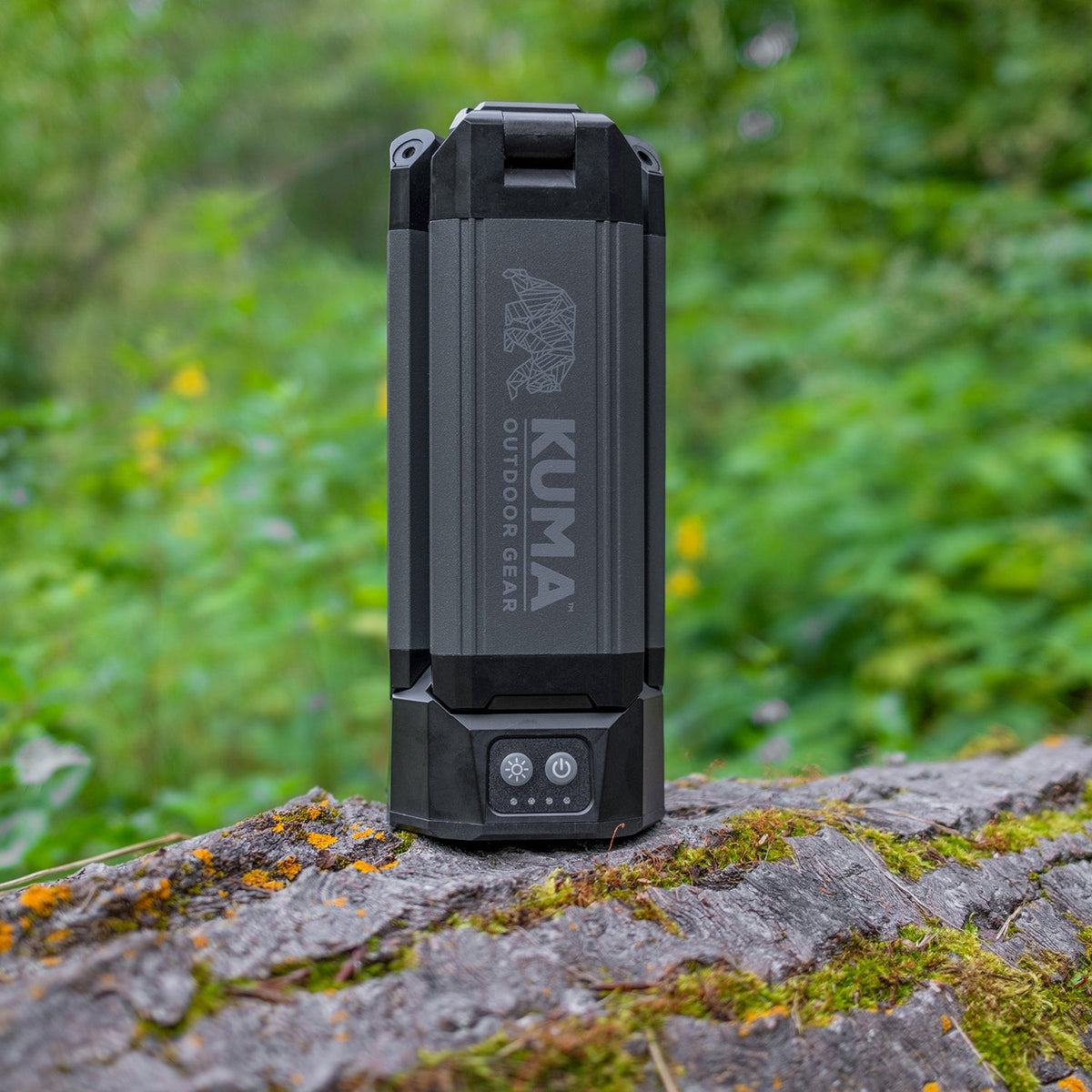 Northstar LED Flexlite