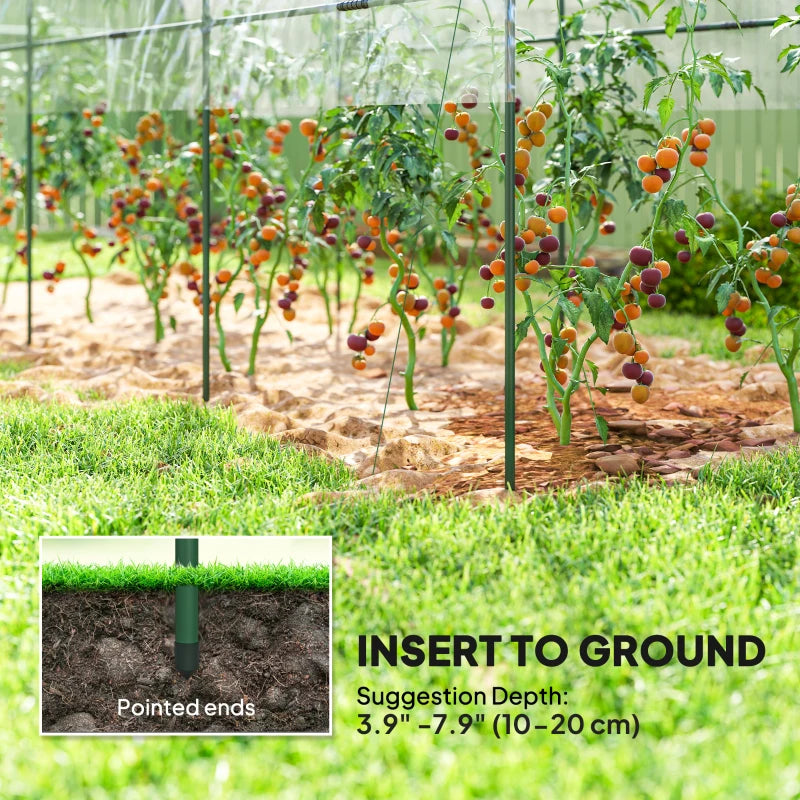 Tunnel Tomato Greenhouse with 4 Hoops and Top Tap, Pointed Bottom and Guy Ropes, 157.5" x 47.2" x 66.9", Clear