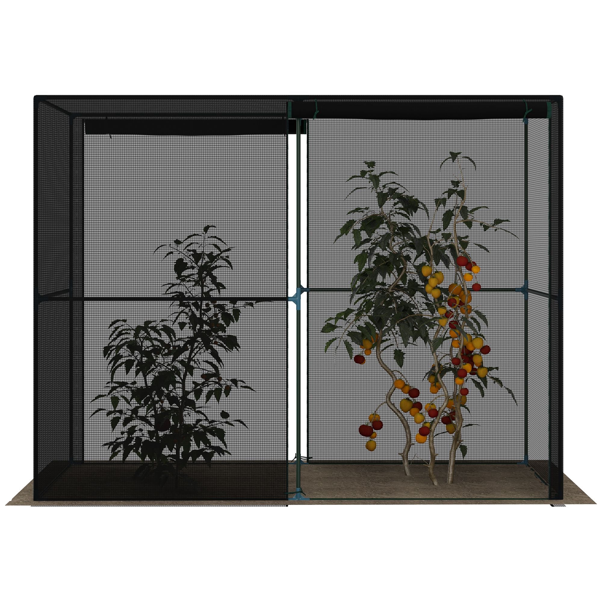 Outsunny 2.4 x 1.2 x 1.9m Plant Cage, Outdoor Walk-in Greenhouse with Insect-Proof Zippered Doors & Metal Frame for Gardening 