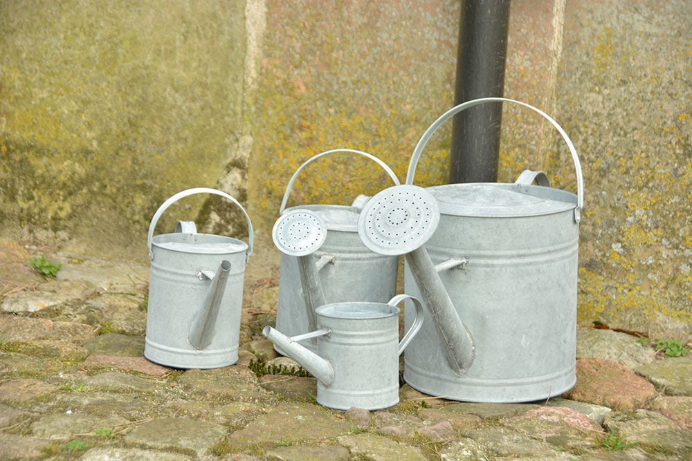 Old Zinc Watering Can 6,5 Lt 