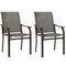 Patio Chairs Set of 2 with Armrest and High Backrest, for Backyard, Balcony, Porch, Poolside, Deck, Garden, Brown