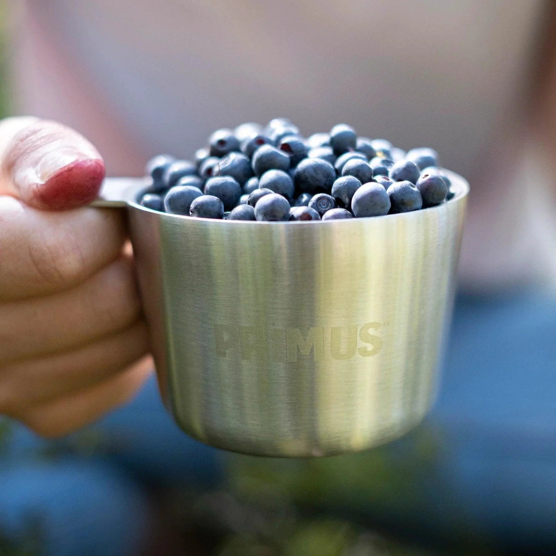 Primus Kasa Mug Stainless Steel 