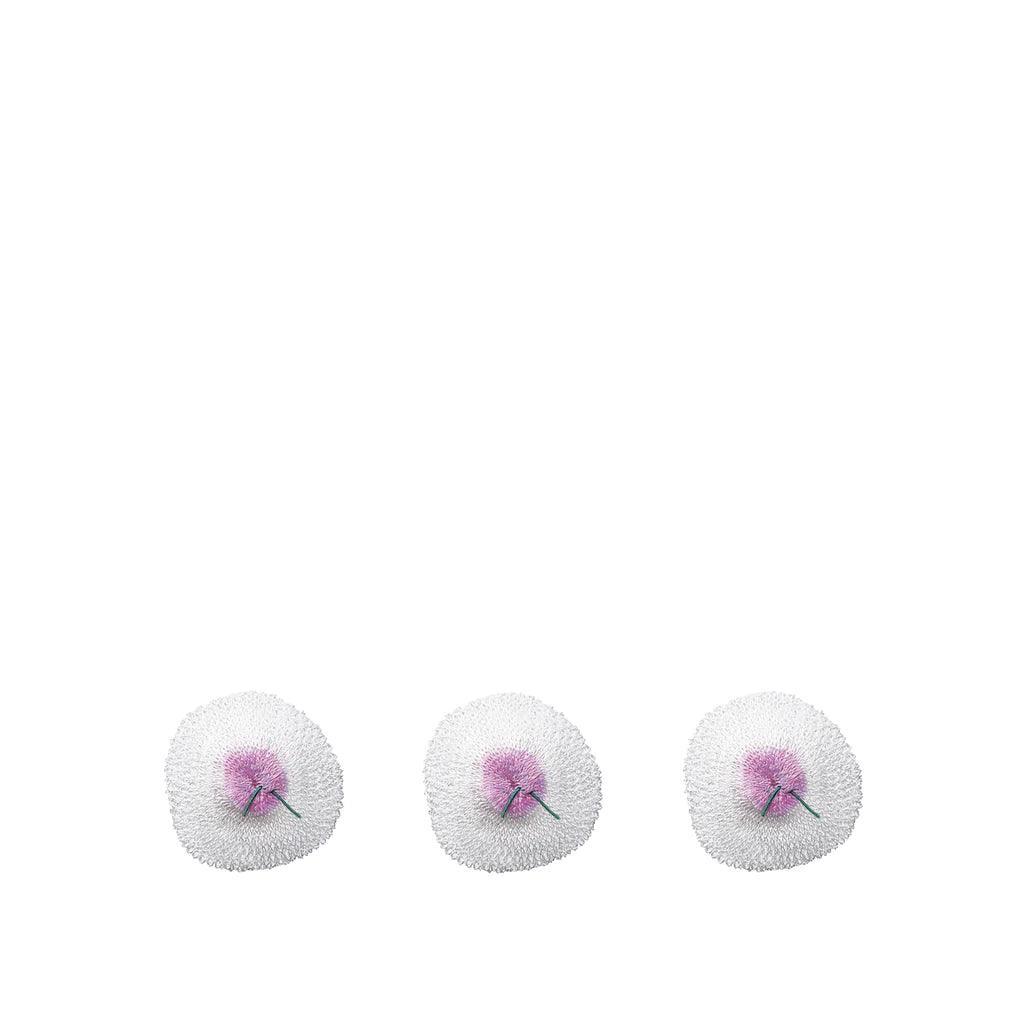 Primus Replacement Lantern Mantles - 3 Pack 