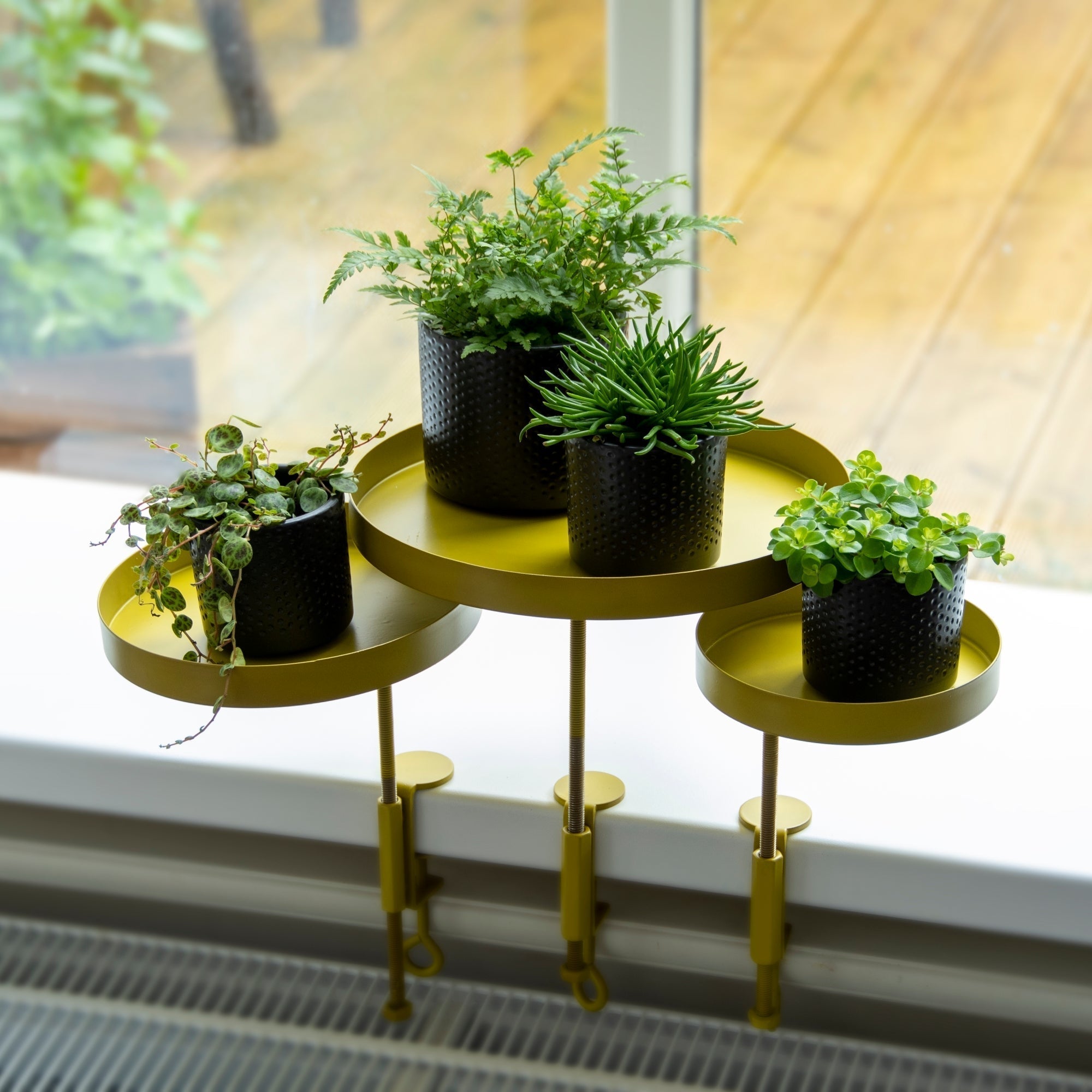Round Golden Clamp Tray S 