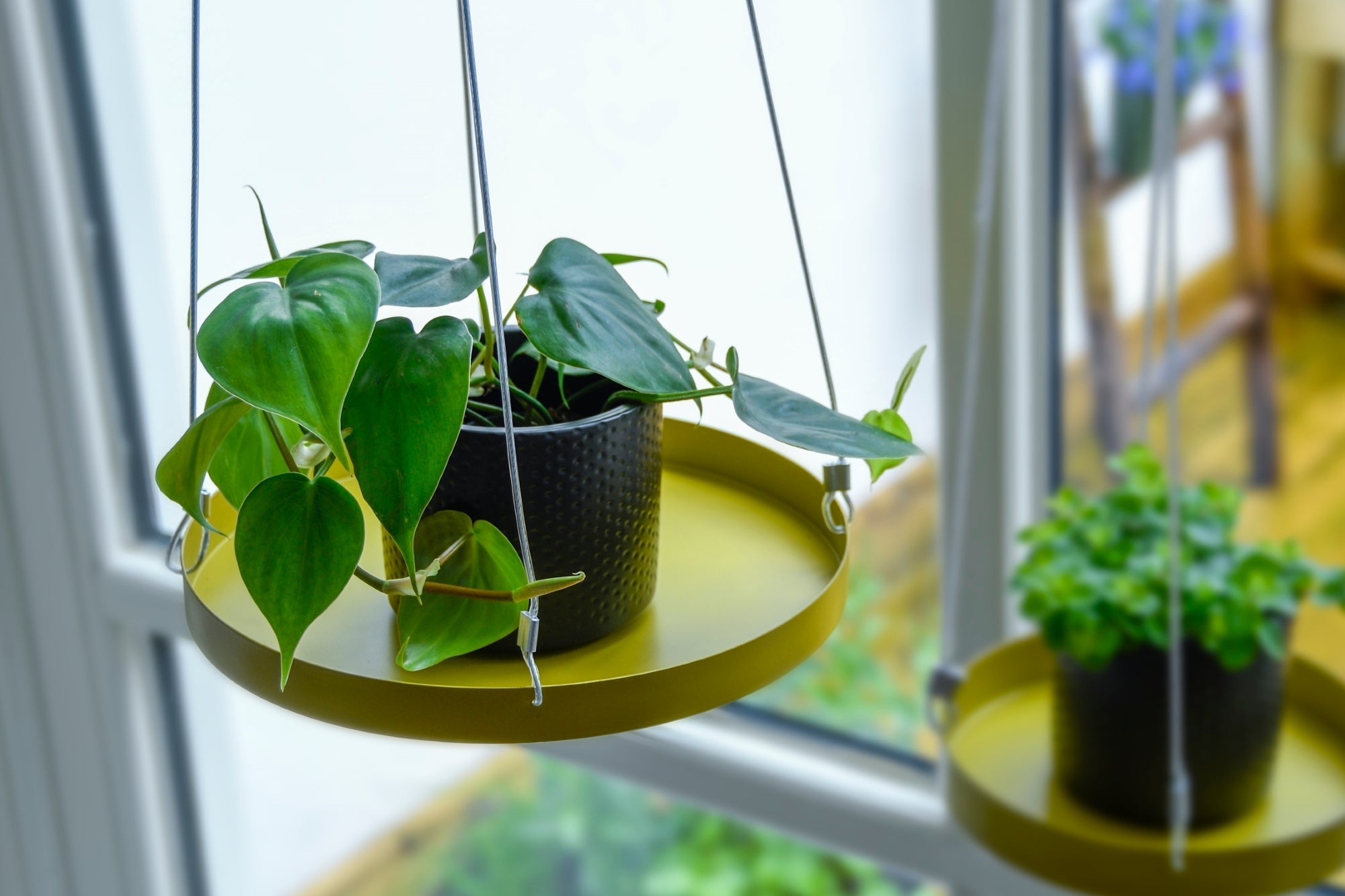 Round Golden Window Hanging Tray L 