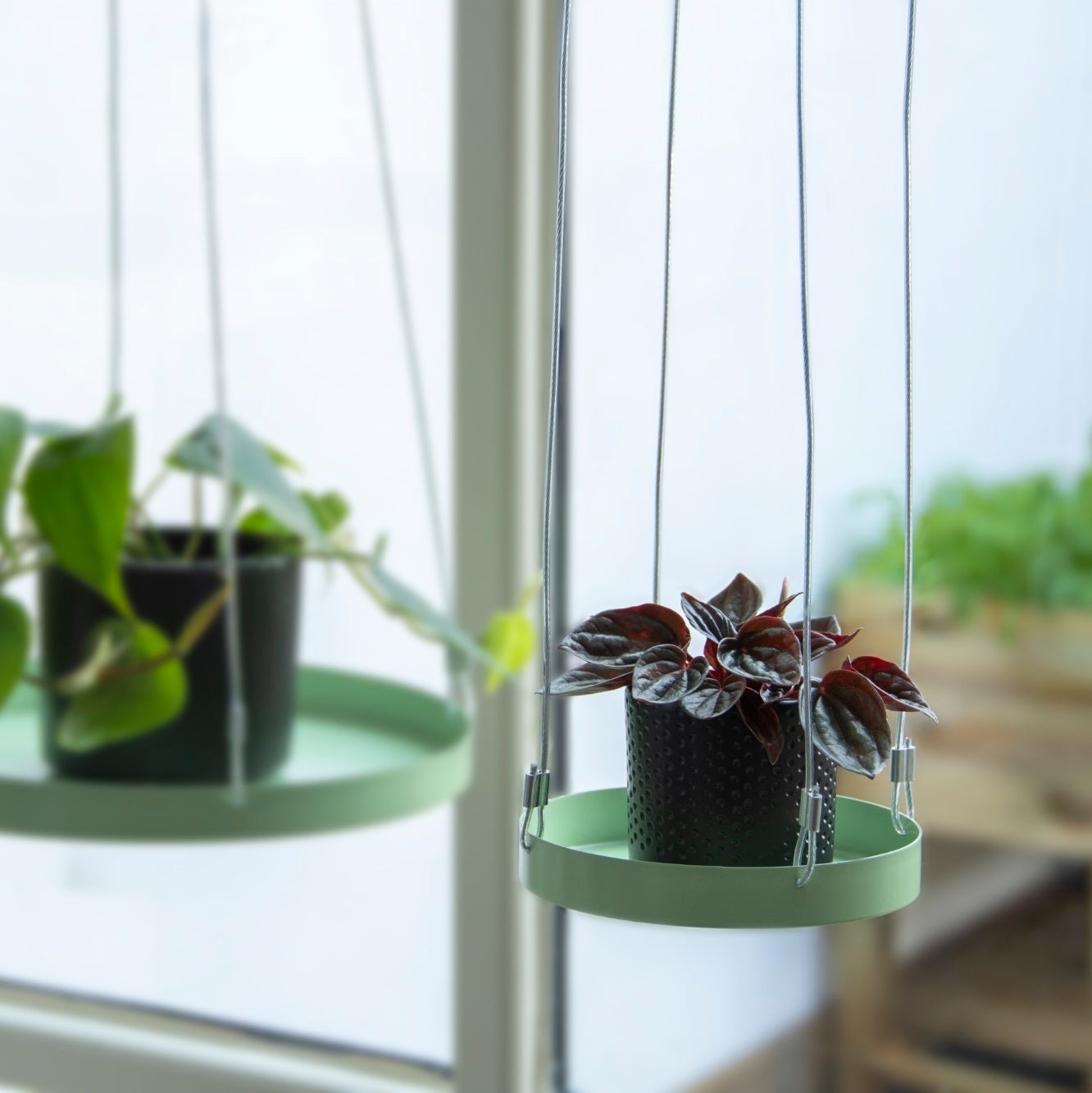 Round Green Window Hanging Tray S 