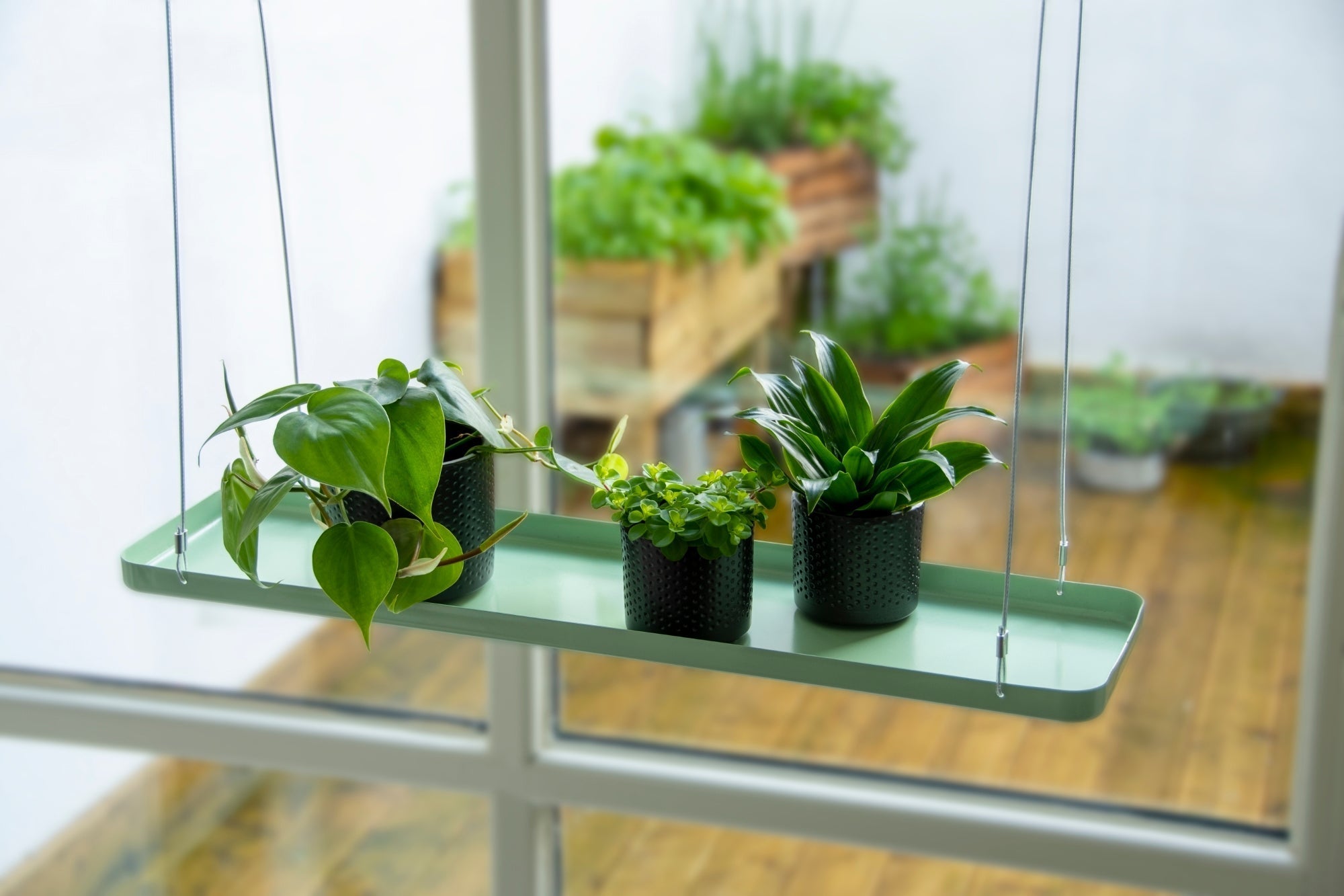 Rectangular Green Window Hanging Tray L 
