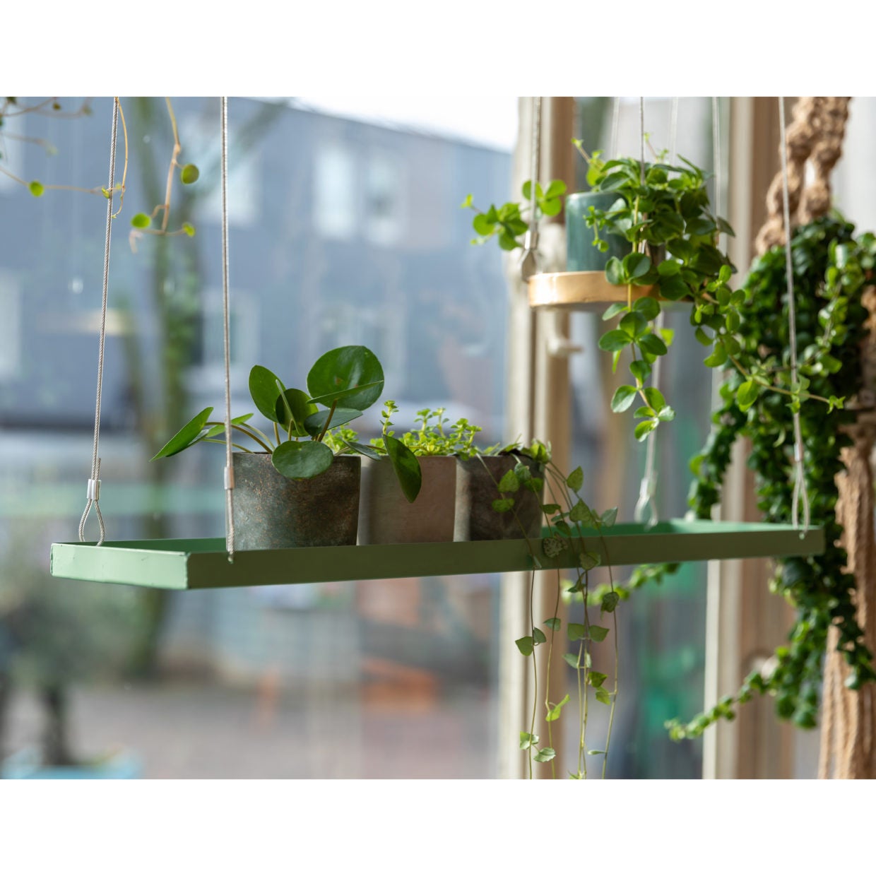 Rectangular Green Window Hanging Tray L 