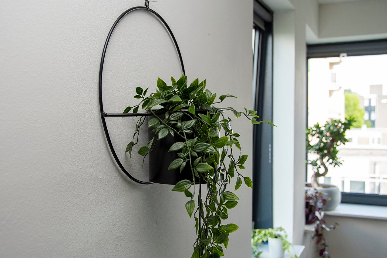 Wall Planter 
