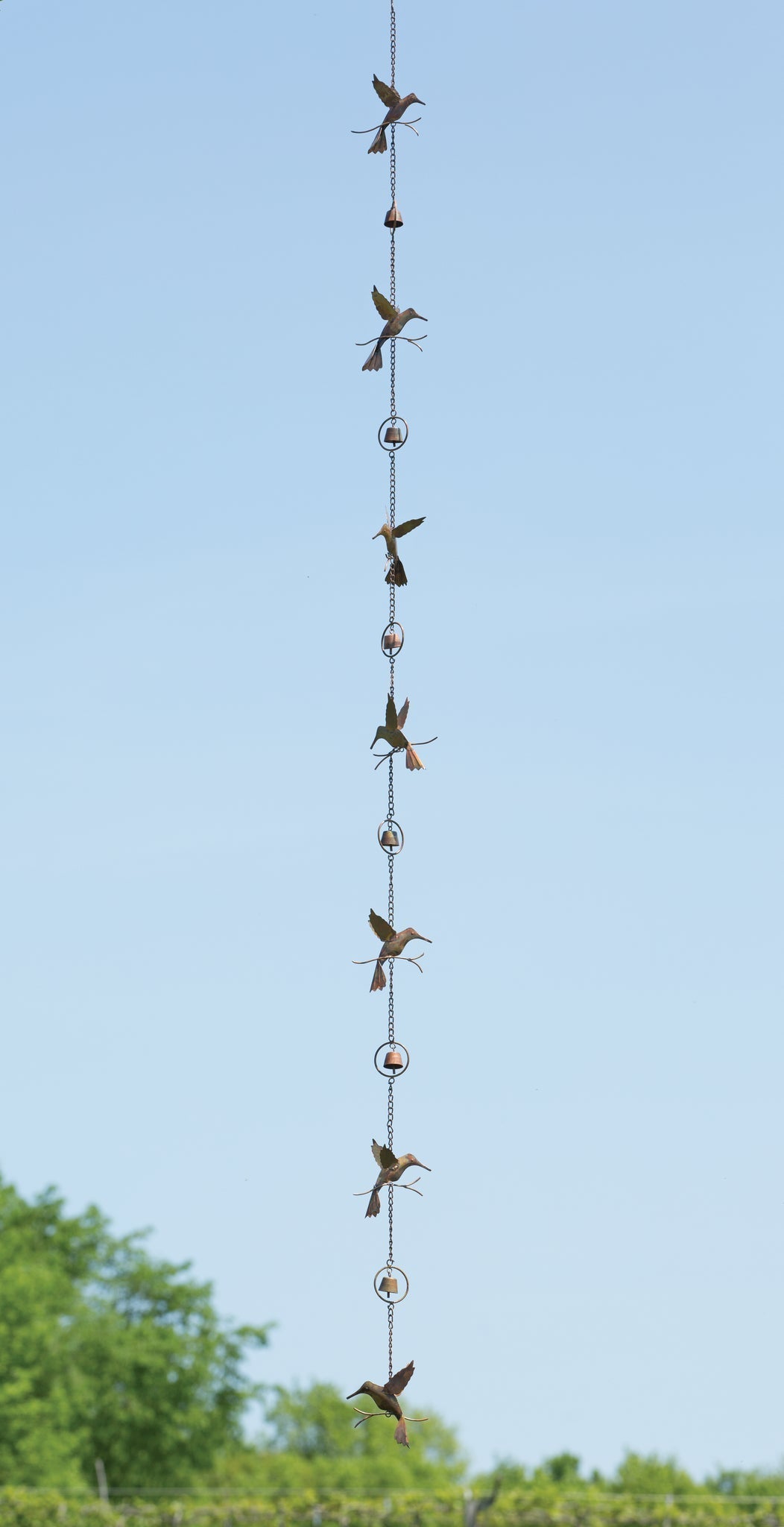Flamed Hummingbirds and Bells 