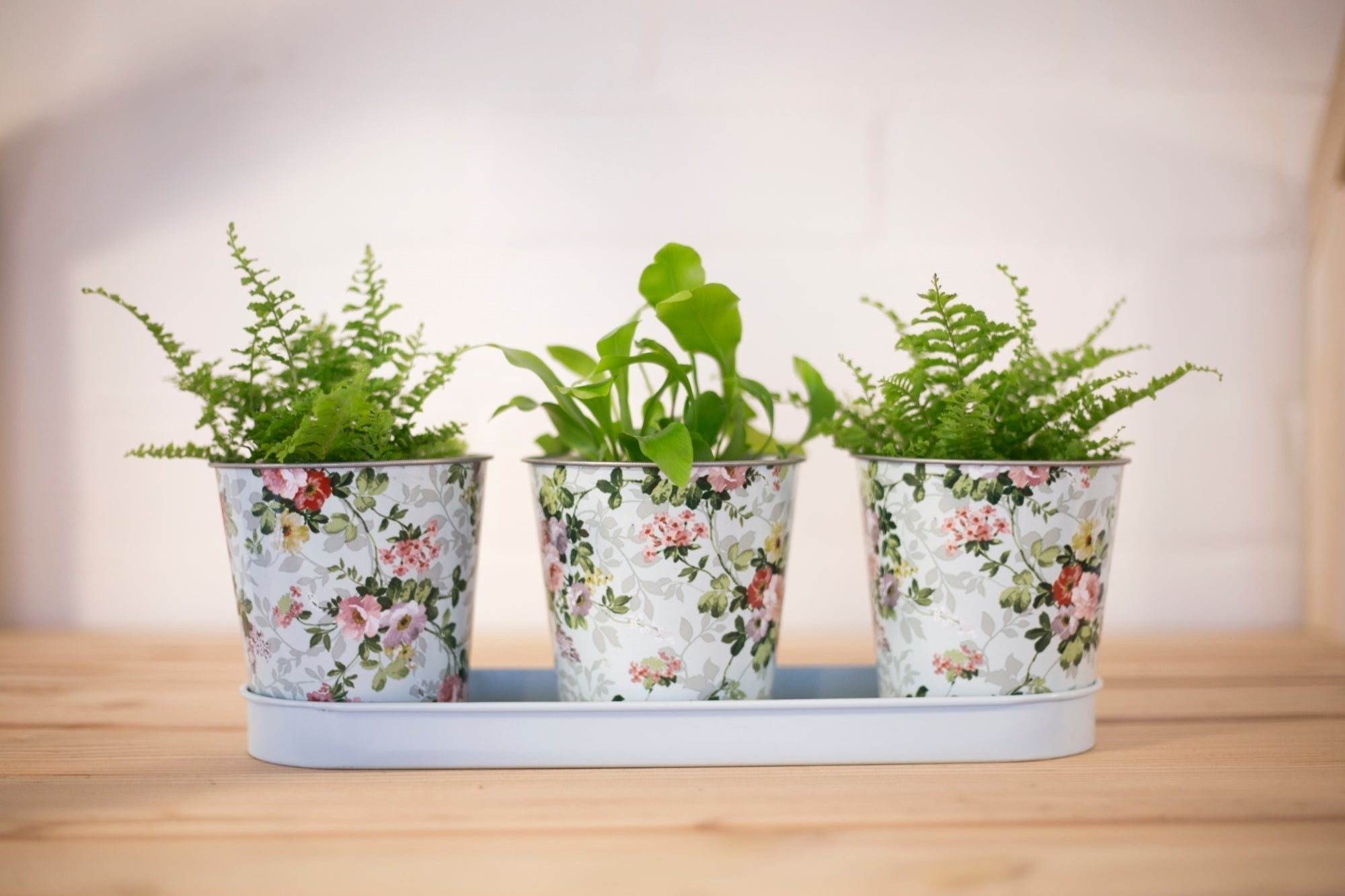 Rose Print 3 Pots On Tray 