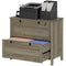 HOMCOM 2 Drawer File Cabinet, Lockable Filing Cabinet with Adjustable Hanging Bar for Letter, A4 Size, Weathered Grey Oak