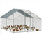 Metal Chicken Coop, 9.8 x 11.2 FT Walk-in Chicken Run with Cover, Lockable Door, Outdoor Poultry Cage for 10-15 Chickens