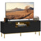Modern TV Console for TVs up to 60 Inch, Entertainment Center with Smart RGB LED Lights and Soft Close Doors, Black