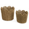 Seagrass Scallop Edge Basket – Handwoven Natural Storage Basket with Scalloped Trim, Available in Small & Large Sizes