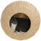 Cat Wall Shelf with Washable Cushion, Wall Mounted Cat Condo Furniture for Indoor Kittens, Beige