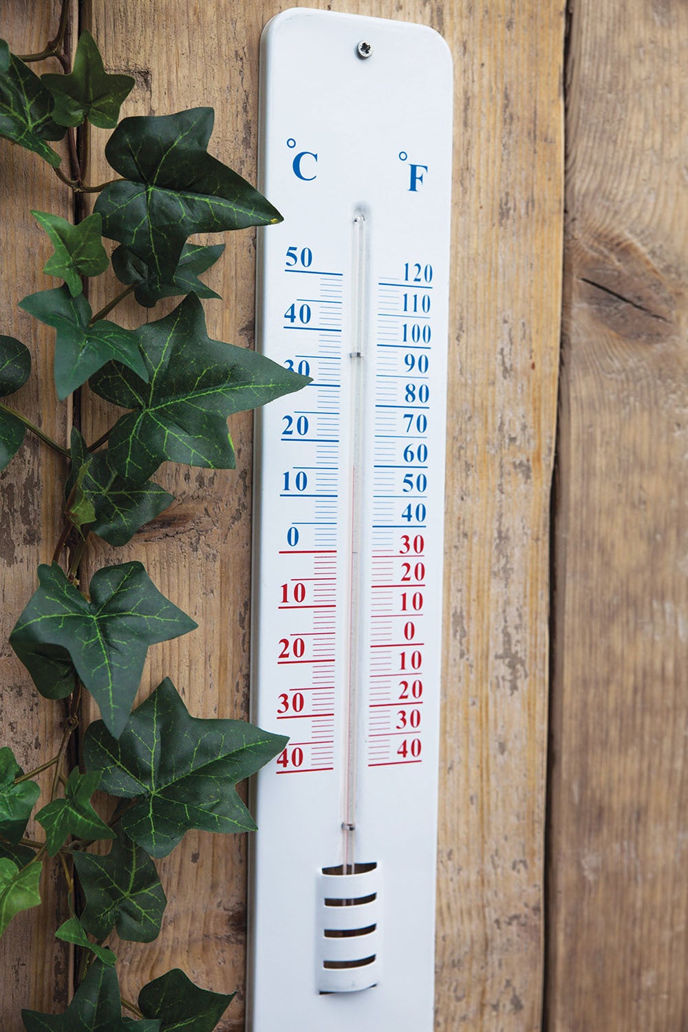 Thermometer On Wallplate 45cm 