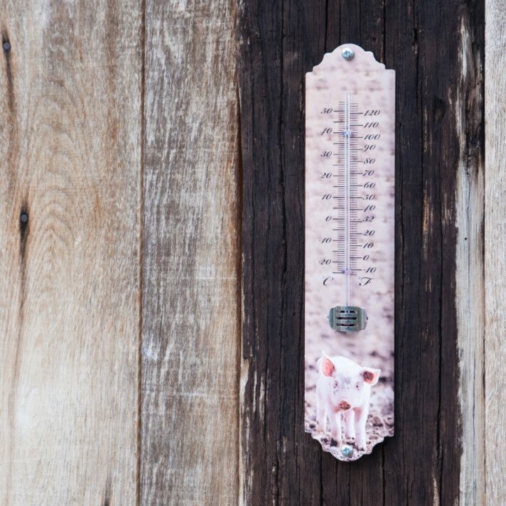 Thermometer Farm Animals ~ Assorted 