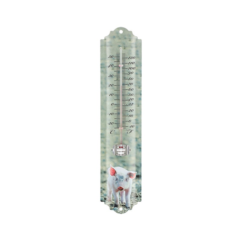 Thermometer Farm Animals ~ Assorted 