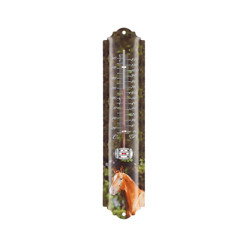 Thermometer Farm Animals ~ Assorted 