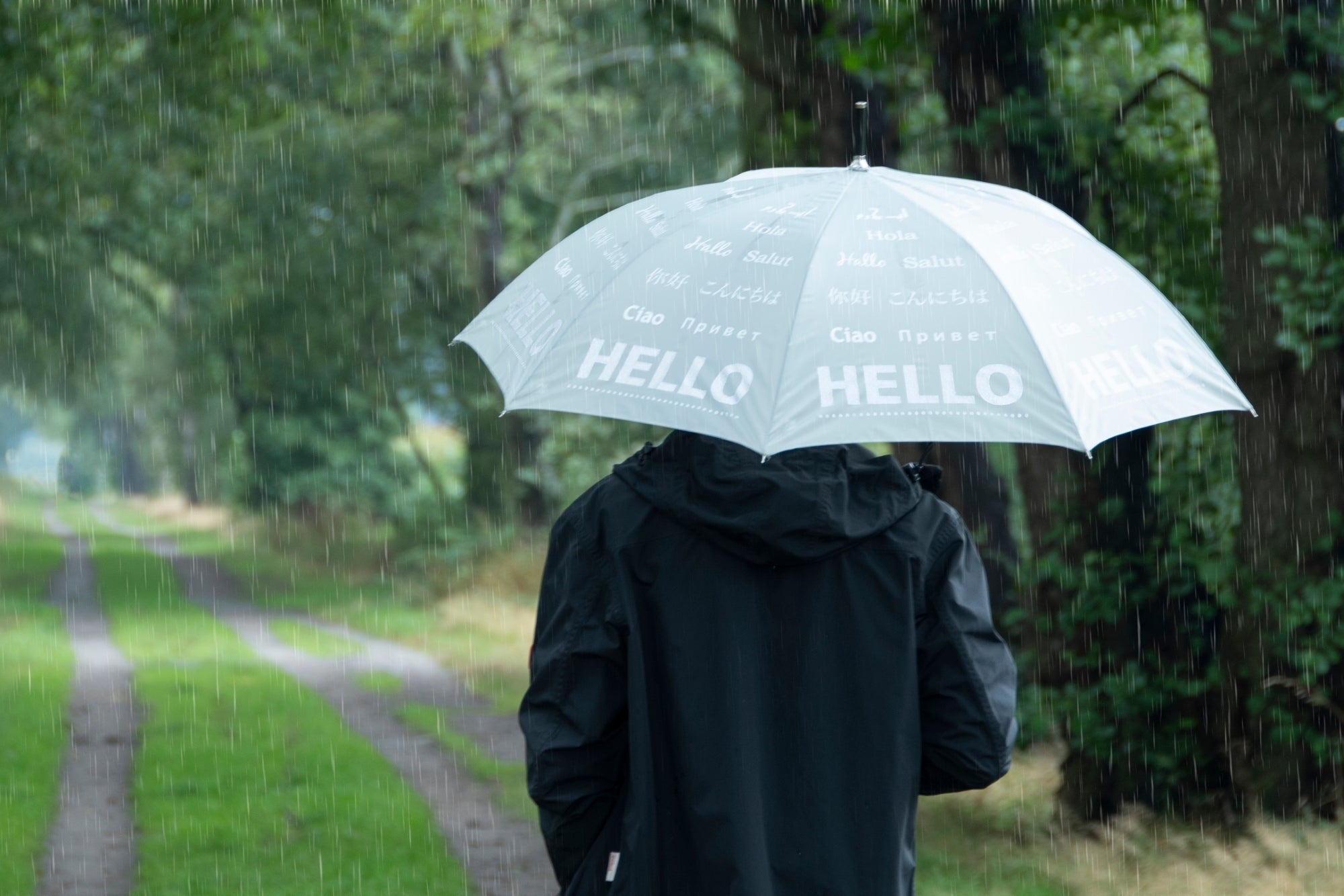 Umbrella Reflector "Hello" 