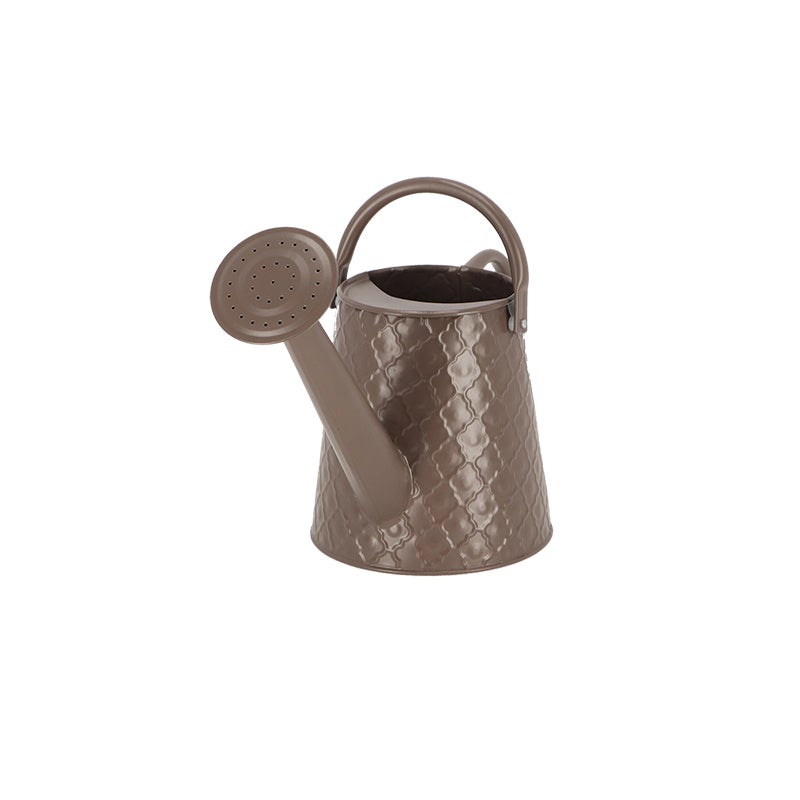 Watering Can Desert Dream S ~ Assorted 