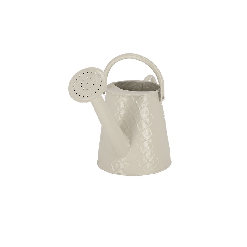 Watering Can Desert Dream S ~ Assorted 