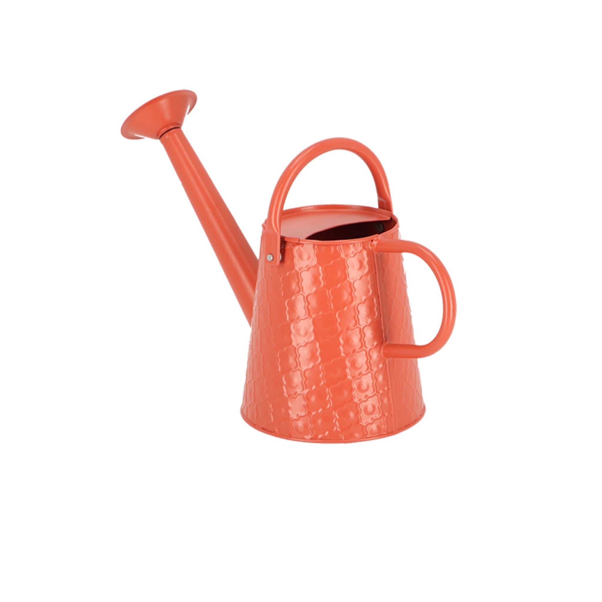 Watering Can Desert Dream S ~ Assorted 