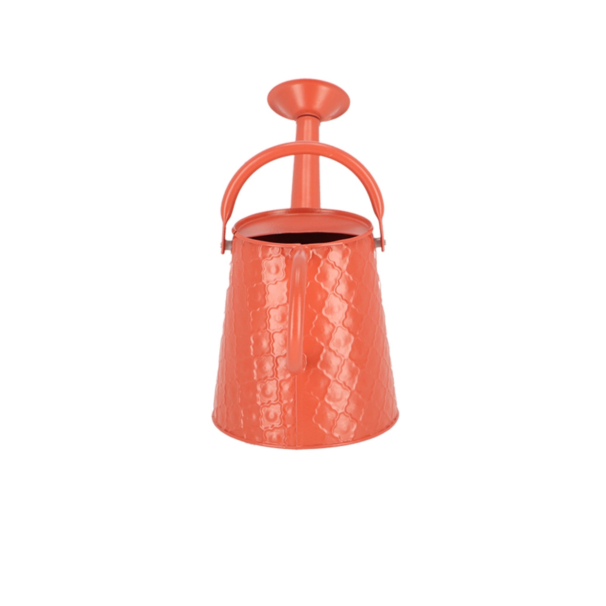 Watering Can Desert Dream S ~ Assorted 