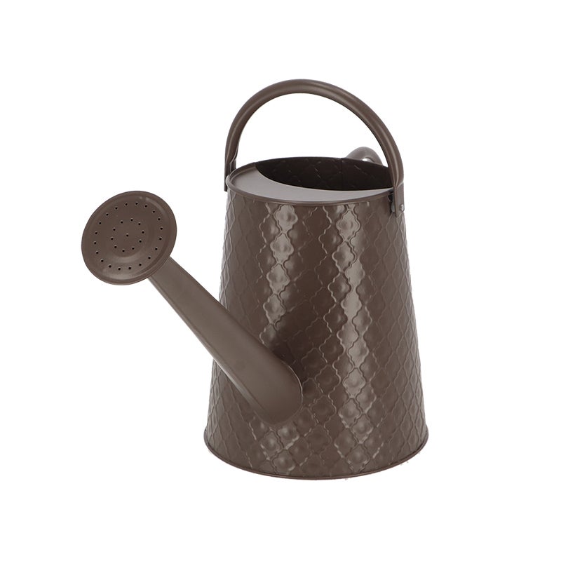 Watering Can Desert Dream L ~ Assorted 