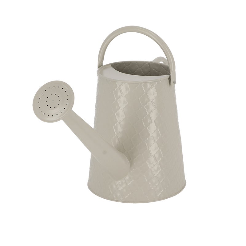 Watering Can Desert Dream L ~ Assorted 