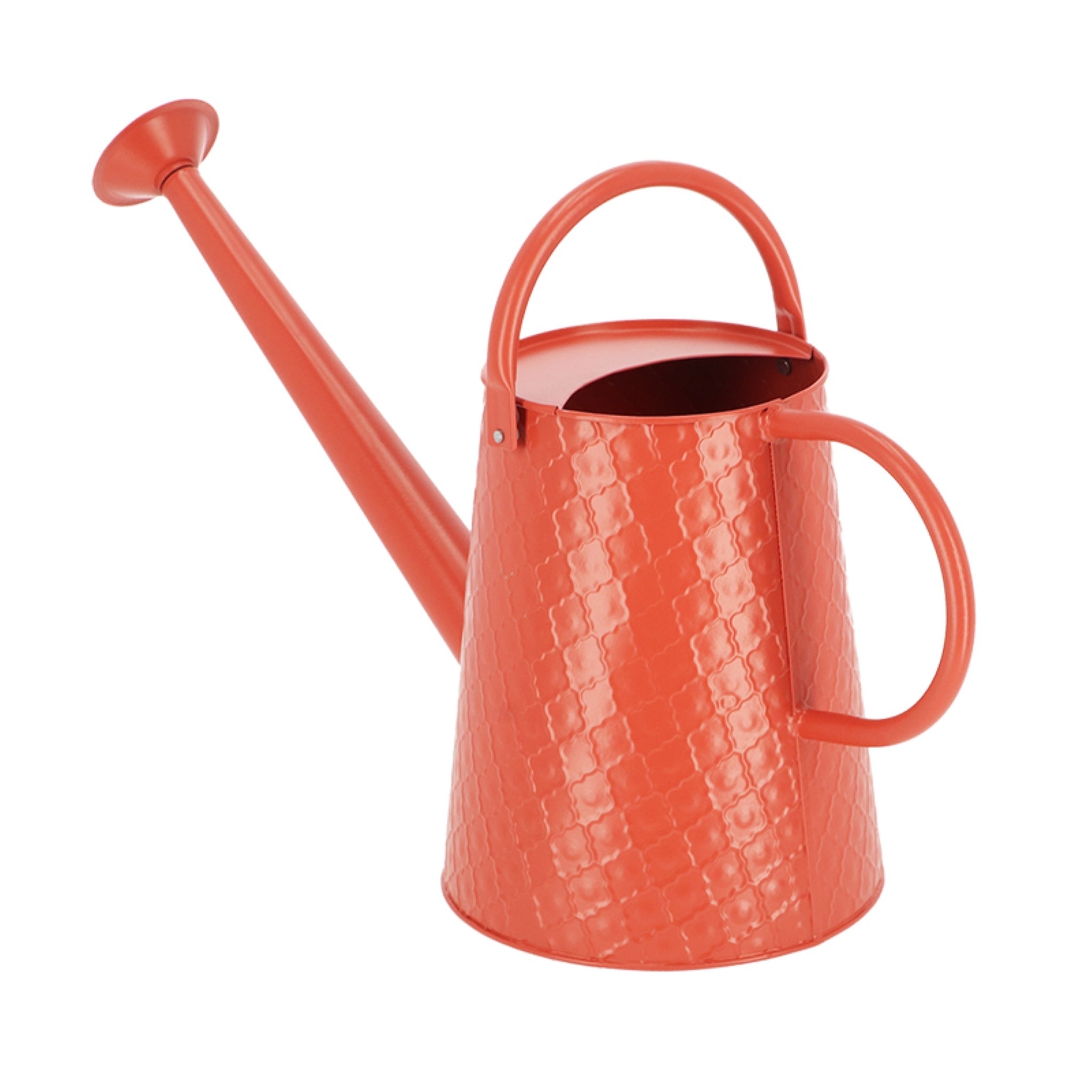 Watering Can Desert Dream L ~ Assorted 