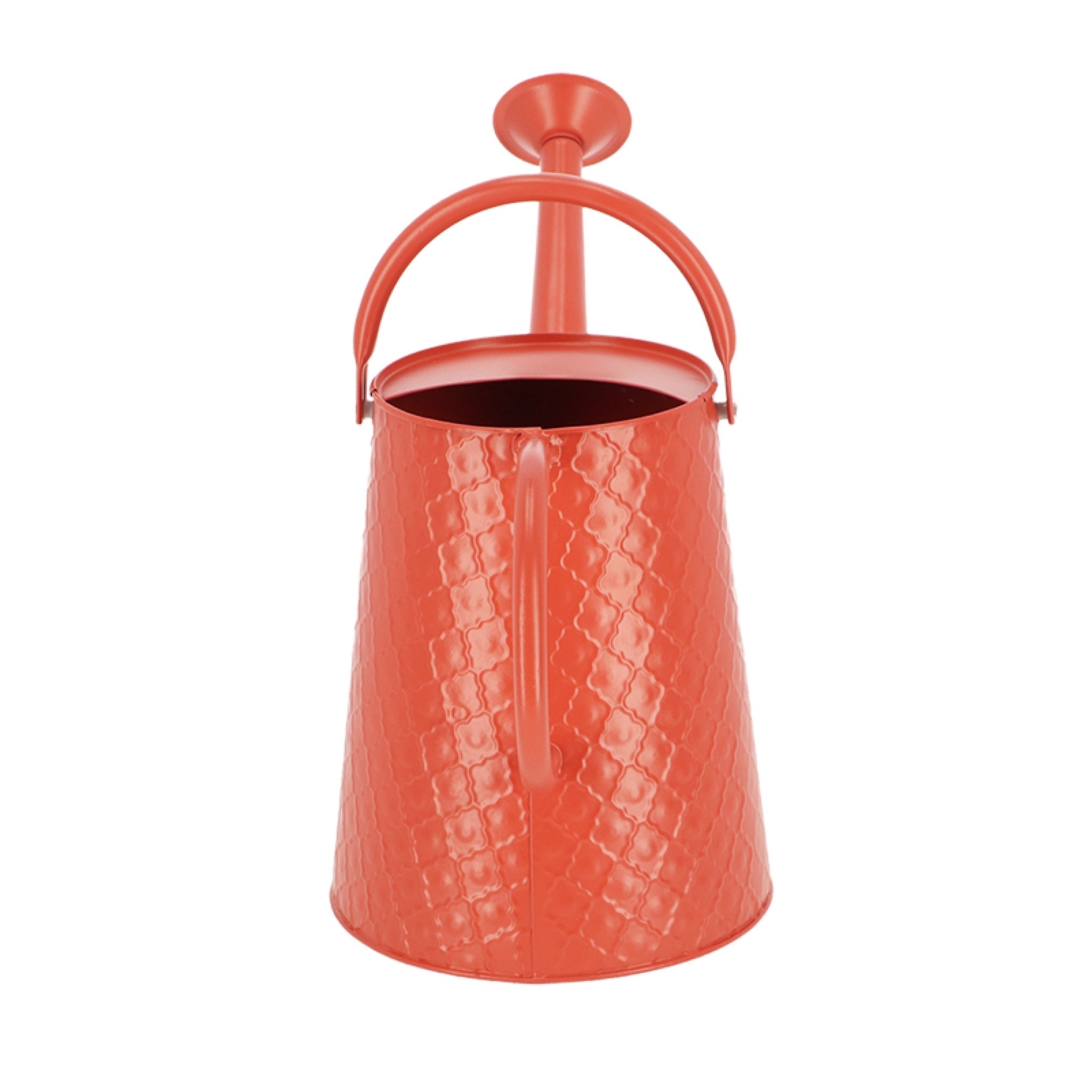 Watering Can Desert Dream L ~ Assorted 