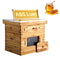 VEVOR Bee Hive 20 Frame Bee Hives Starter Kit, Beeswax Coated Cedar Wood, 1 Deep + 1 Medium Bee Boxes Langstroth Beehive Kit, Transparent Acrylic Windows with Foundations for Beginners Pro Beekeepers