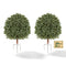 20-Inch Artificial Boxwood Topiary Ball Set of 2 with Metal Ground Stakes – Indoor & Outdoor Faux Green Shrubs