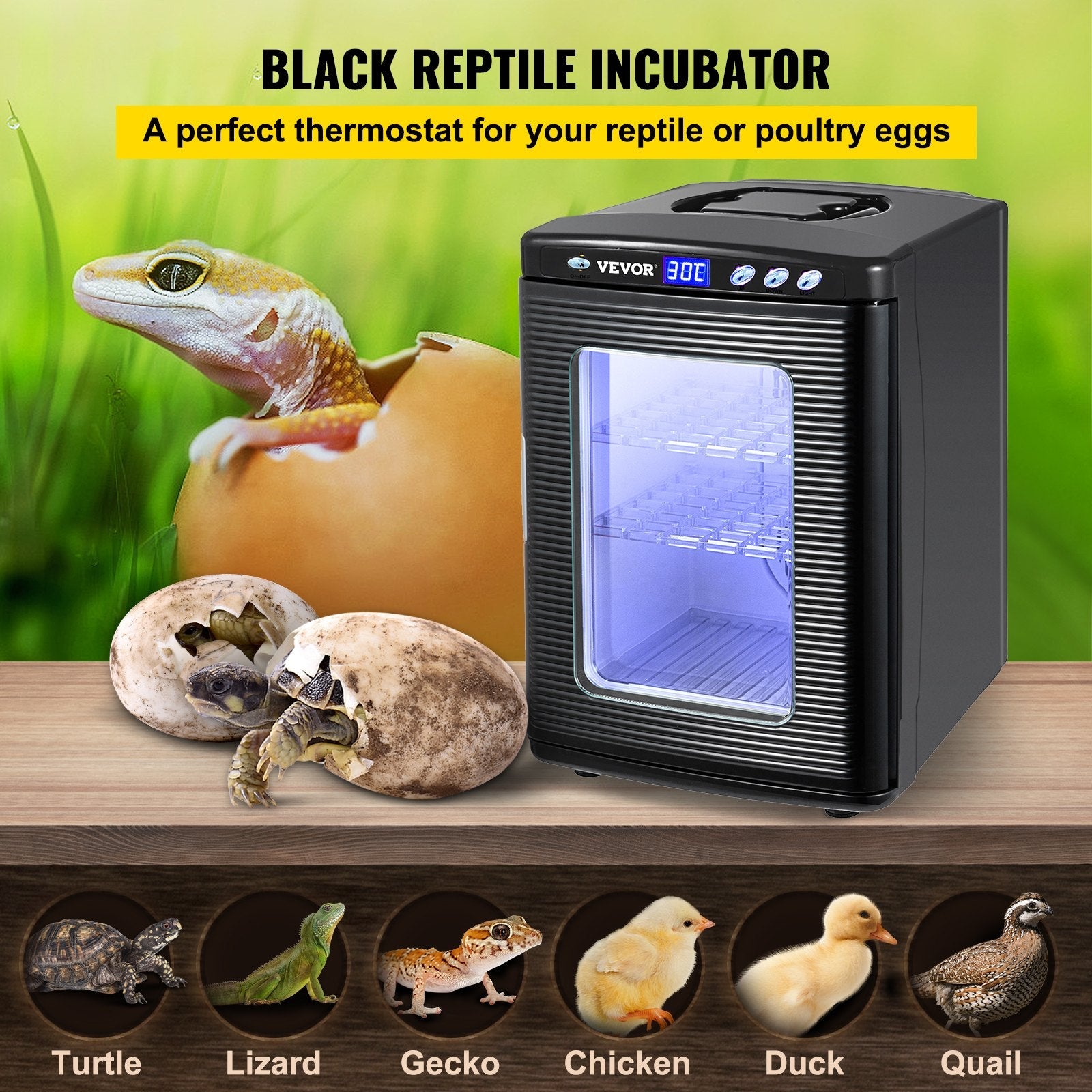 VEVOR Reptile Incubator 25L Digital Egg Incubator 2-60°C for Small Reptiles 