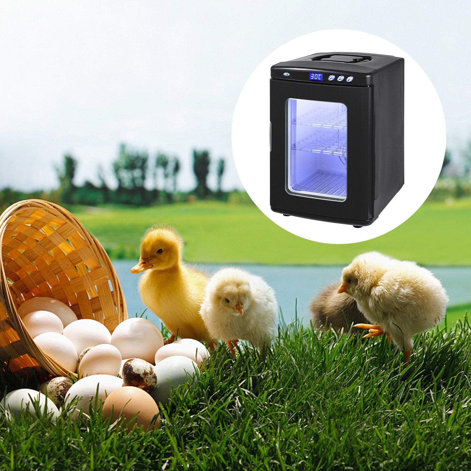 VEVOR Reptile Incubator 25L Digital Egg Incubator 2-60°C for Small Reptiles 