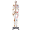 VEVOR Human Skeleton Model for Anatomy, 71.65